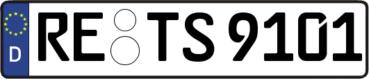 RE-TS9101