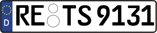 RE-TS9131