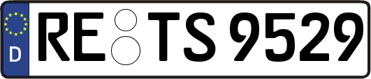 RE-TS9529