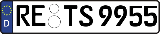 RE-TS9955