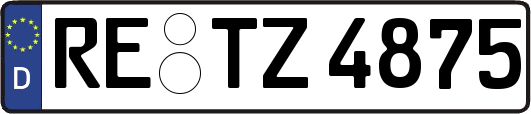 RE-TZ4875