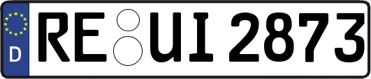 RE-UI2873