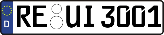 RE-UI3001