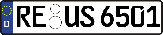 RE-US6501