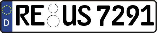 RE-US7291