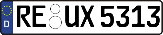 RE-UX5313