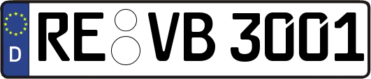RE-VB3001