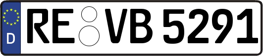 RE-VB5291