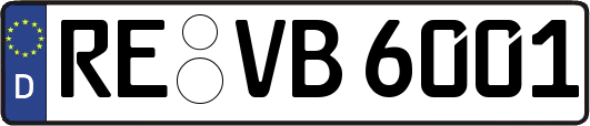 RE-VB6001