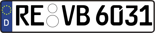 RE-VB6031