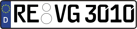 RE-VG3010