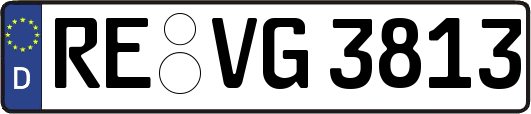 RE-VG3813