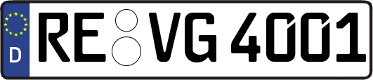 RE-VG4001