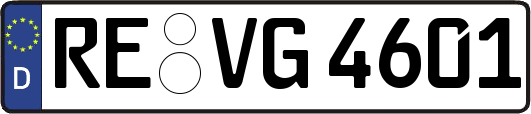 RE-VG4601