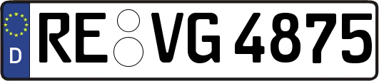 RE-VG4875