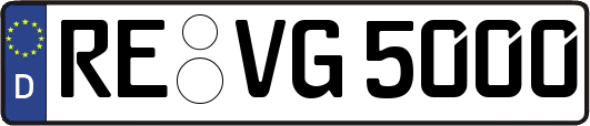 RE-VG5000