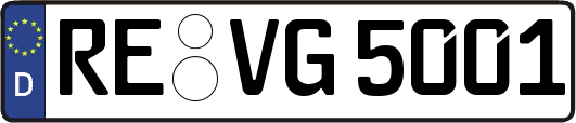 RE-VG5001