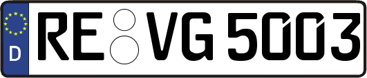 RE-VG5003