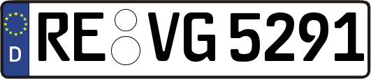 RE-VG5291