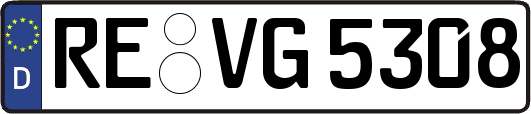 RE-VG5308