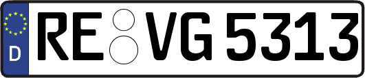 RE-VG5313