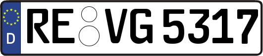 RE-VG5317