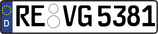 RE-VG5381