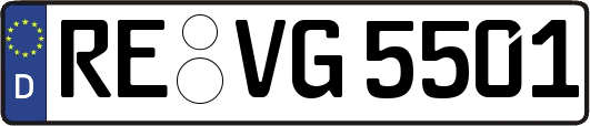 RE-VG5501