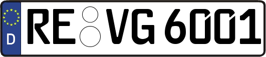 RE-VG6001