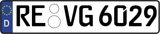 RE-VG6029