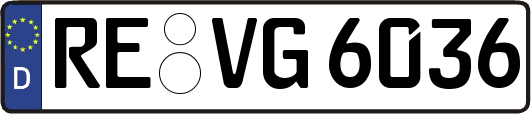 RE-VG6036