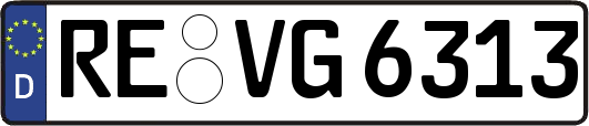 RE-VG6313