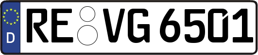 RE-VG6501