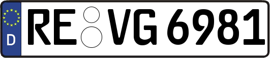 RE-VG6981
