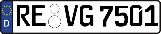RE-VG7501