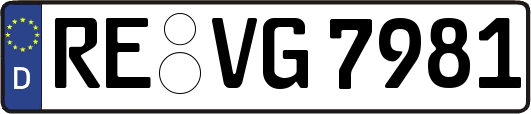 RE-VG7981