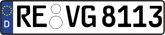 RE-VG8113