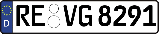 RE-VG8291