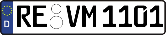 RE-VM1101