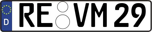 RE-VM29