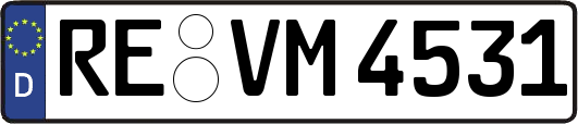 RE-VM4531
