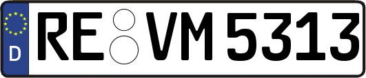 RE-VM5313