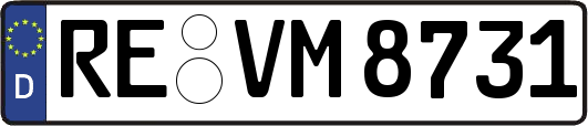 RE-VM8731