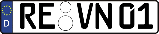 RE-VN01