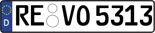 RE-VO5313