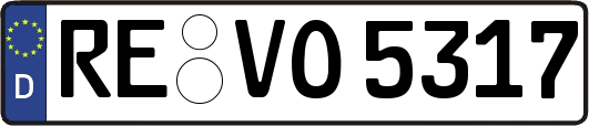 RE-VO5317