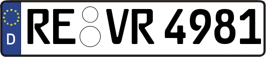 RE-VR4981