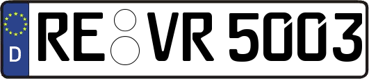 RE-VR5003