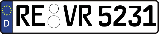 RE-VR5231