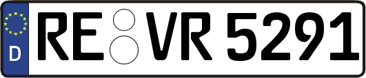 RE-VR5291